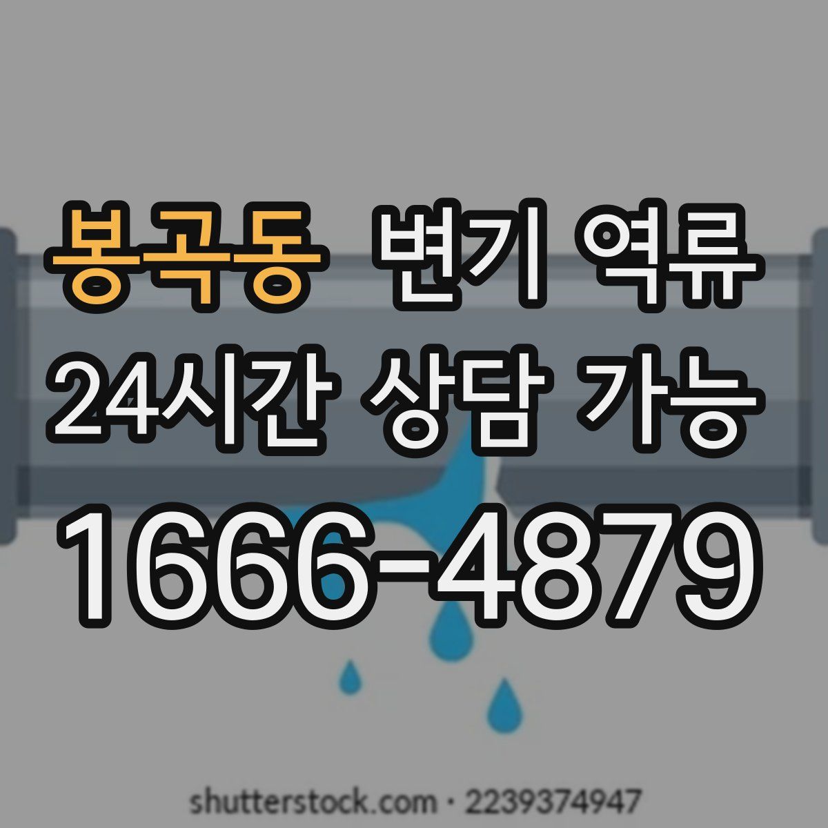 봉곡동 변기 역류