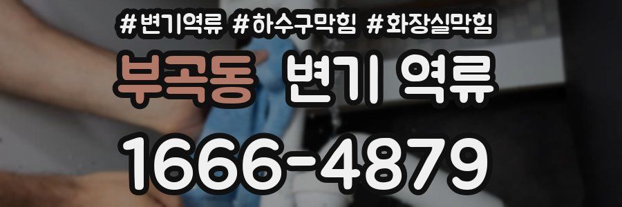 부곡동 변기 역류