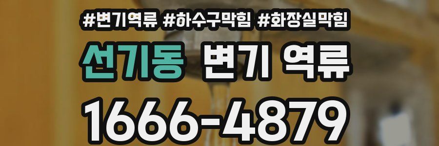 선기동 변기 역류