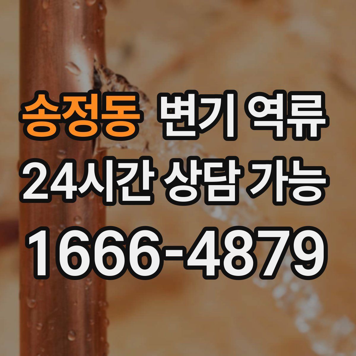 송정동 변기 역류