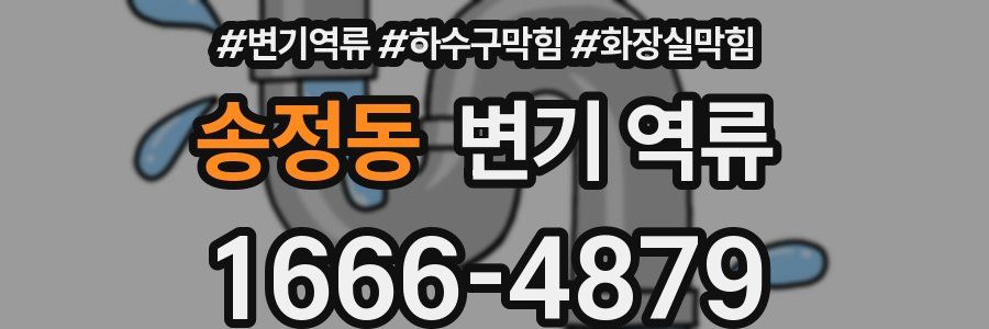 송정동 변기 역류