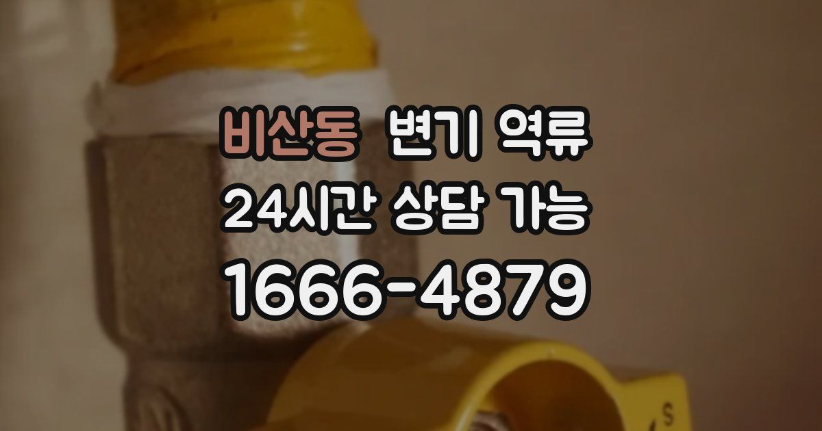 비산동 변기 역류