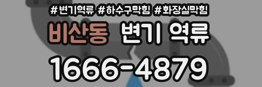 비산동 변기 역류