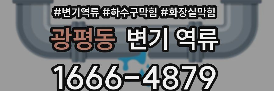 광평동 변기 역류