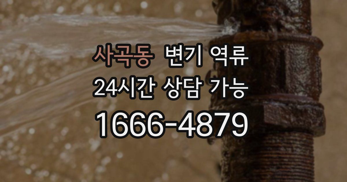 사곡동 변기 역류