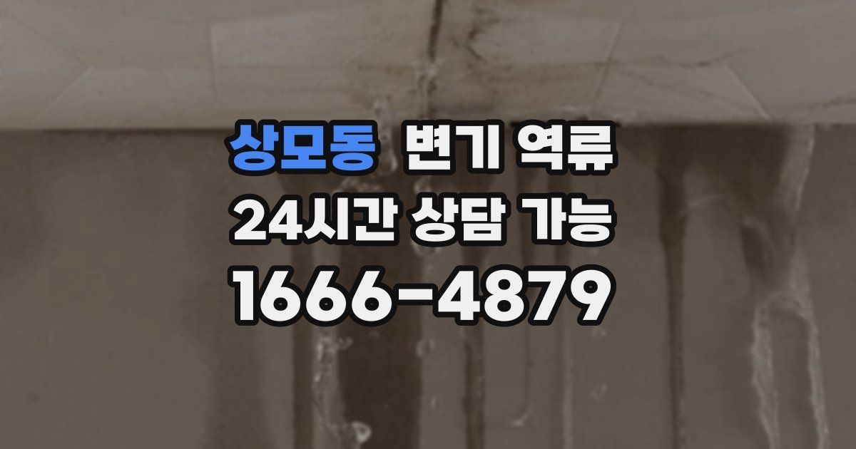 상모동 변기 역류