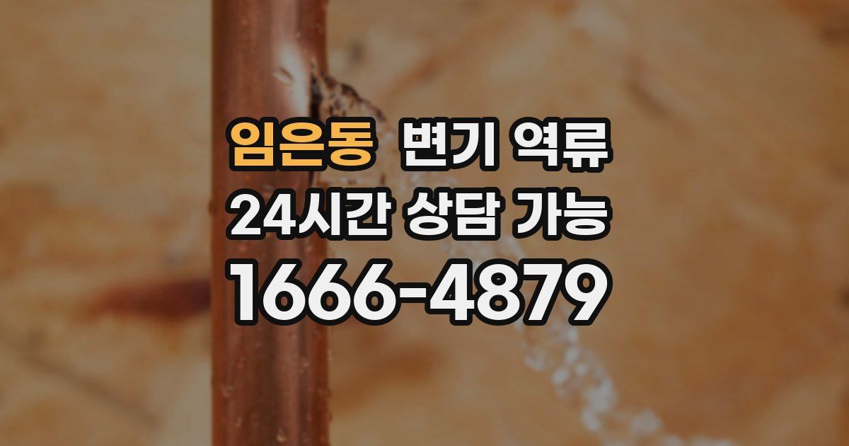 임은동 변기 역류