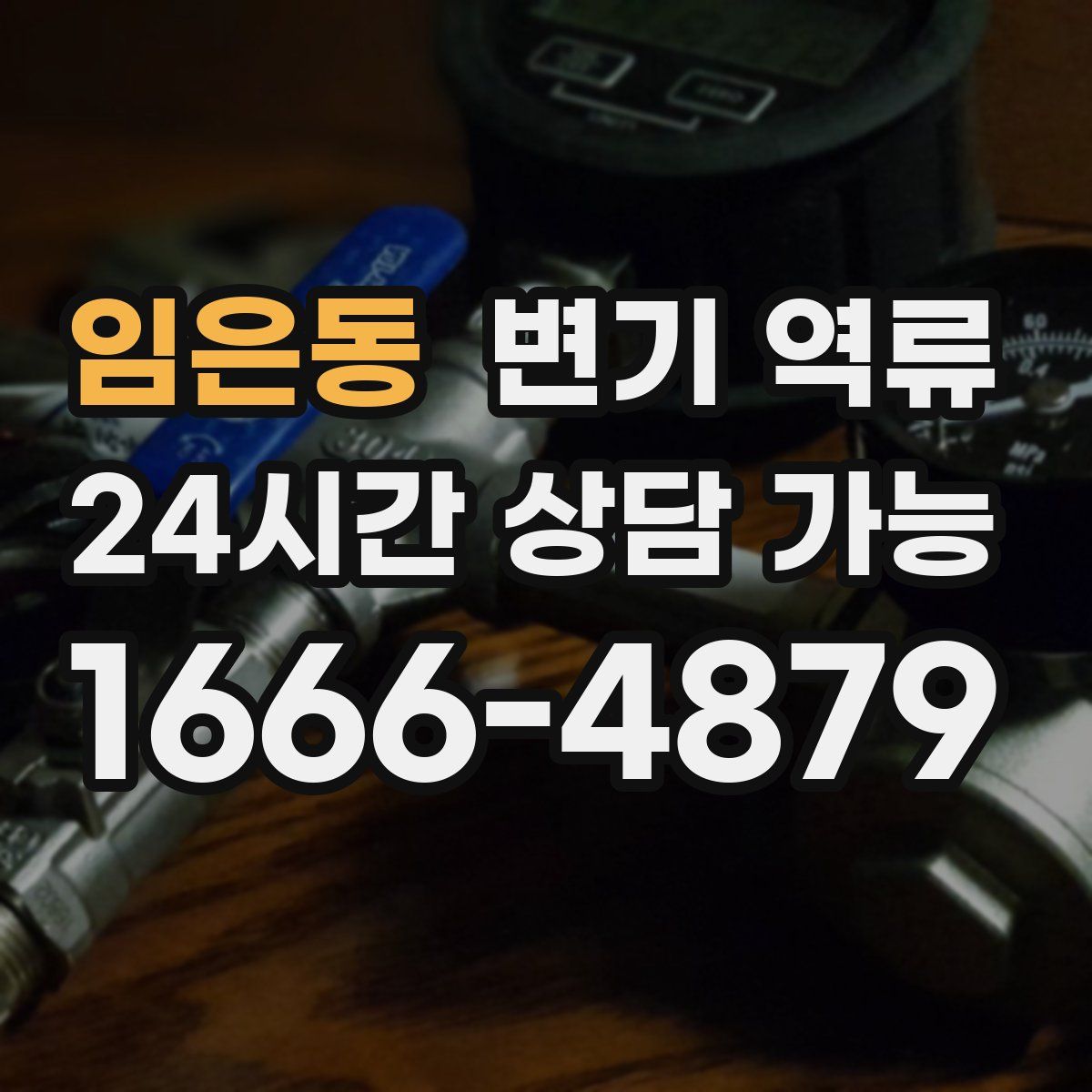 임은동 변기 역류