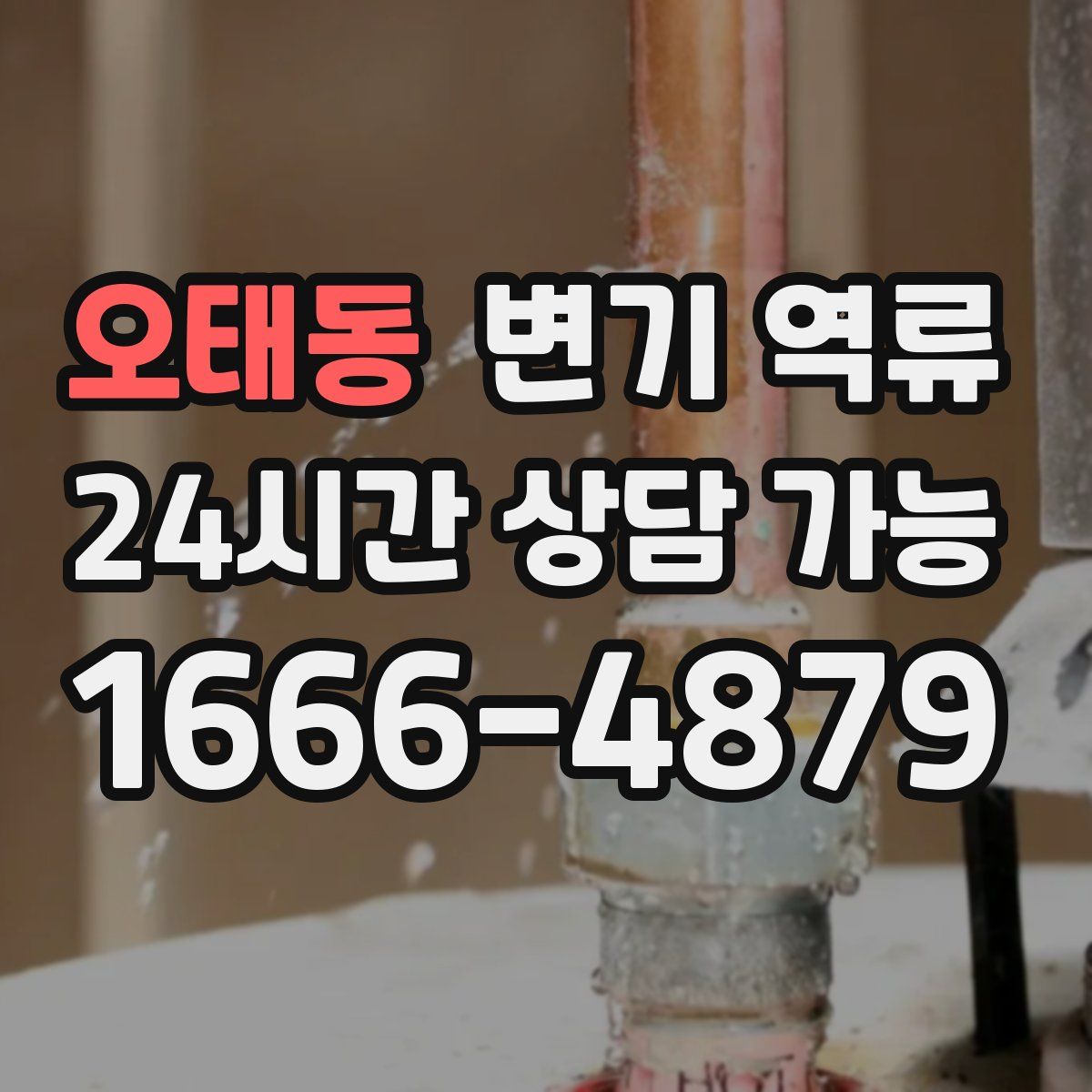 오태동 변기 역류