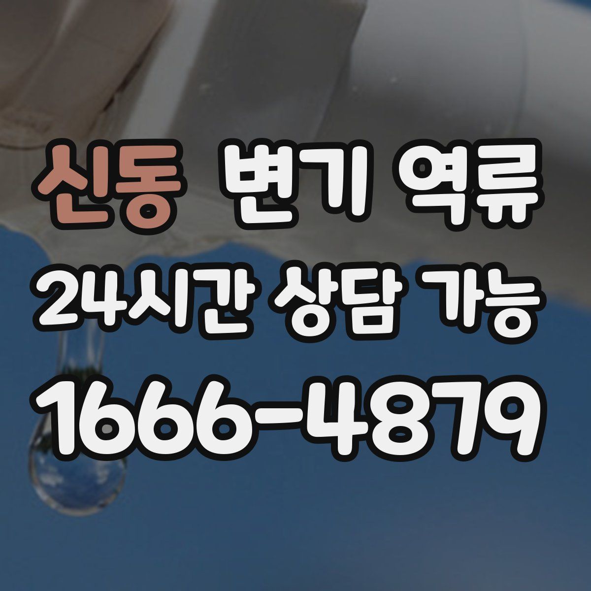 신동 변기 역류