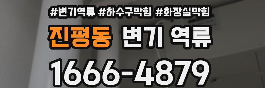 진평동 변기 역류