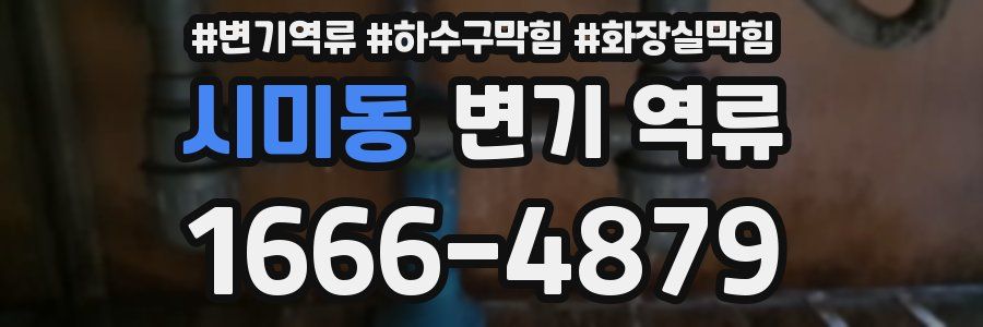 시미동 변기 역류