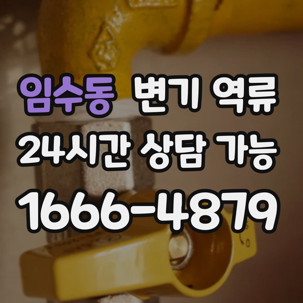 임수동 변기 역류