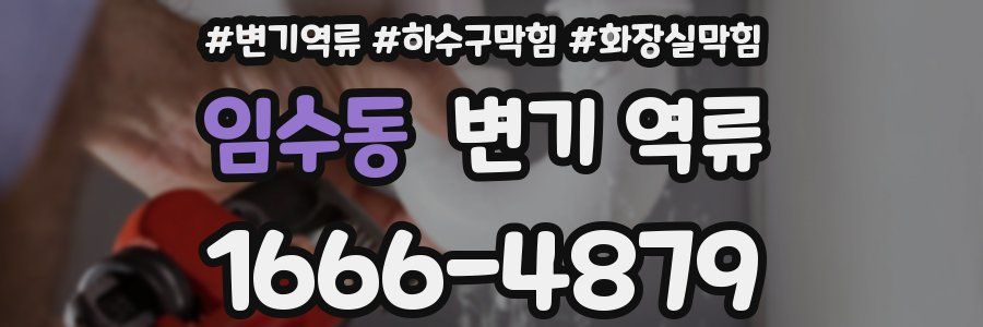 임수동 변기 역류