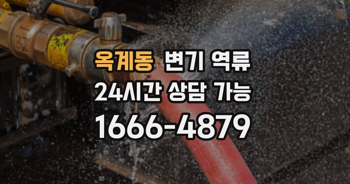 옥계동 변기 역류