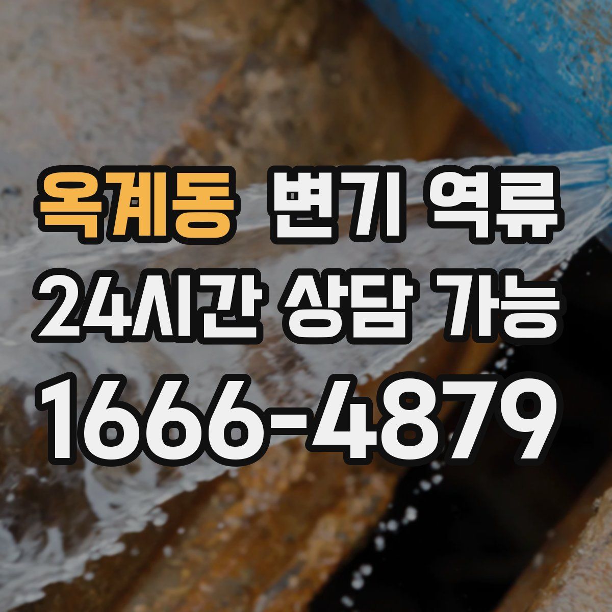 옥계동 변기 역류