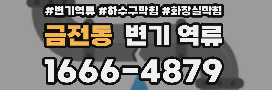 금전동 변기 역류