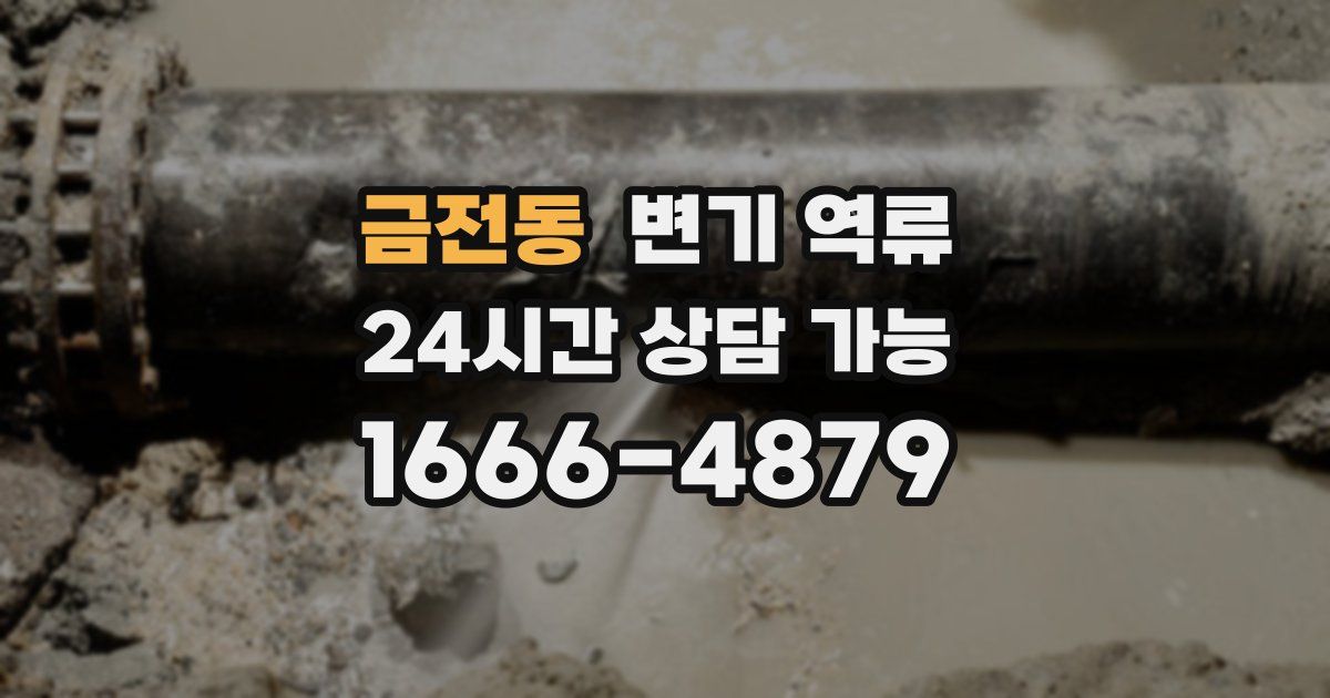 금전동 변기 역류