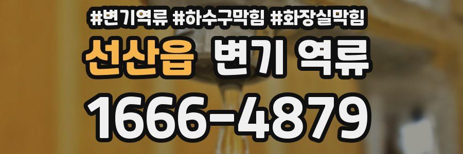 선산읍 변기 역류