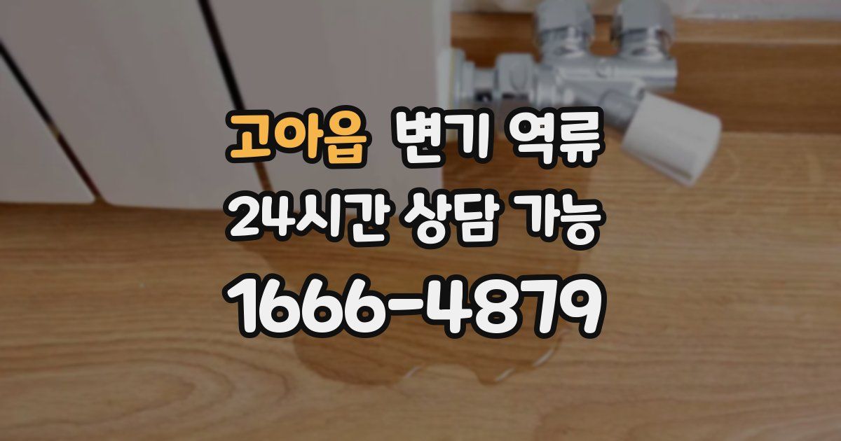 고아읍 변기 역류