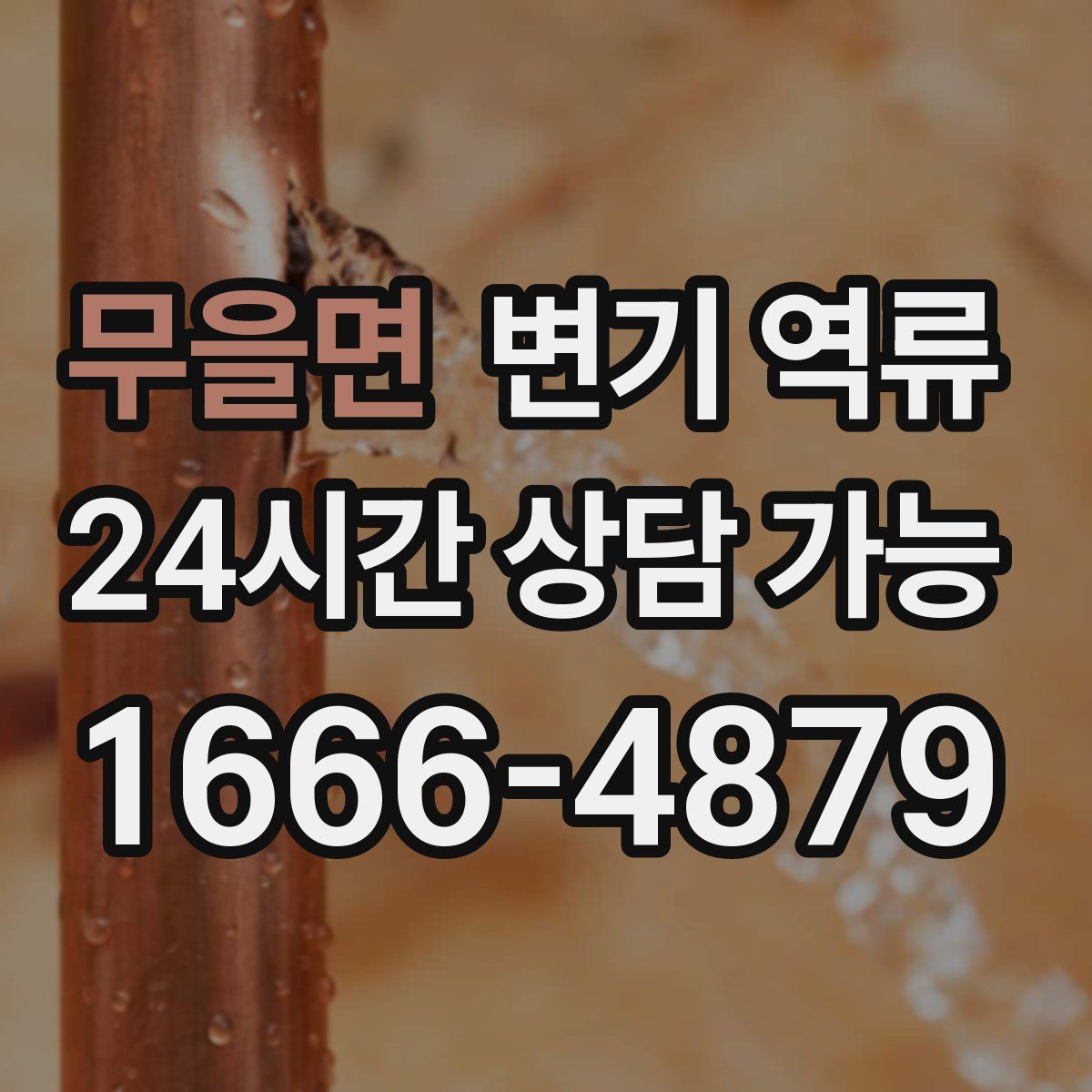 무을면 변기 역류