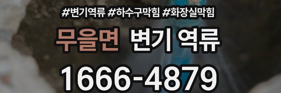 무을면 변기 역류