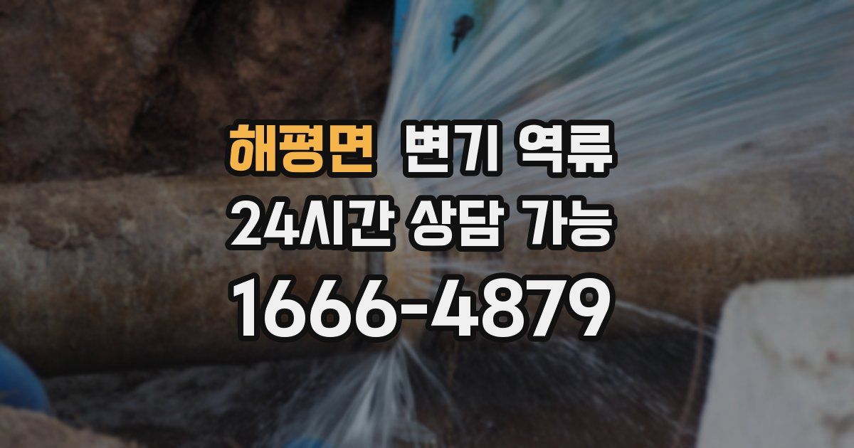 해평면 변기 역류