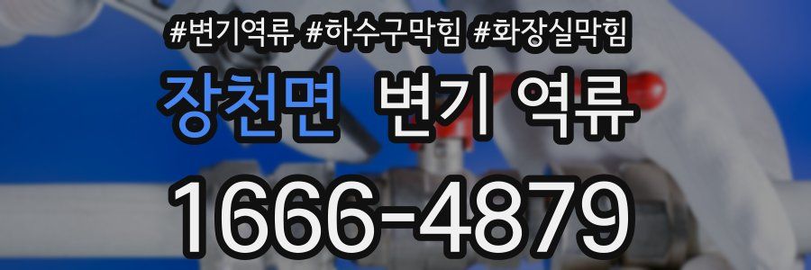 장천면 변기 역류