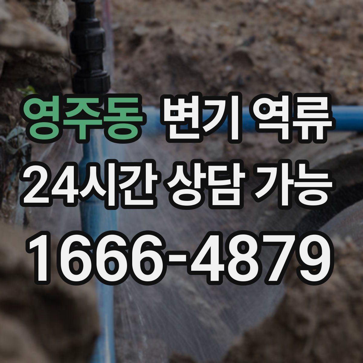 영주동 변기 역류 공용 배관 문제를 의심해야 하는 대표 상황