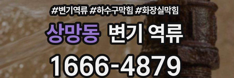 상망동 변기 역류