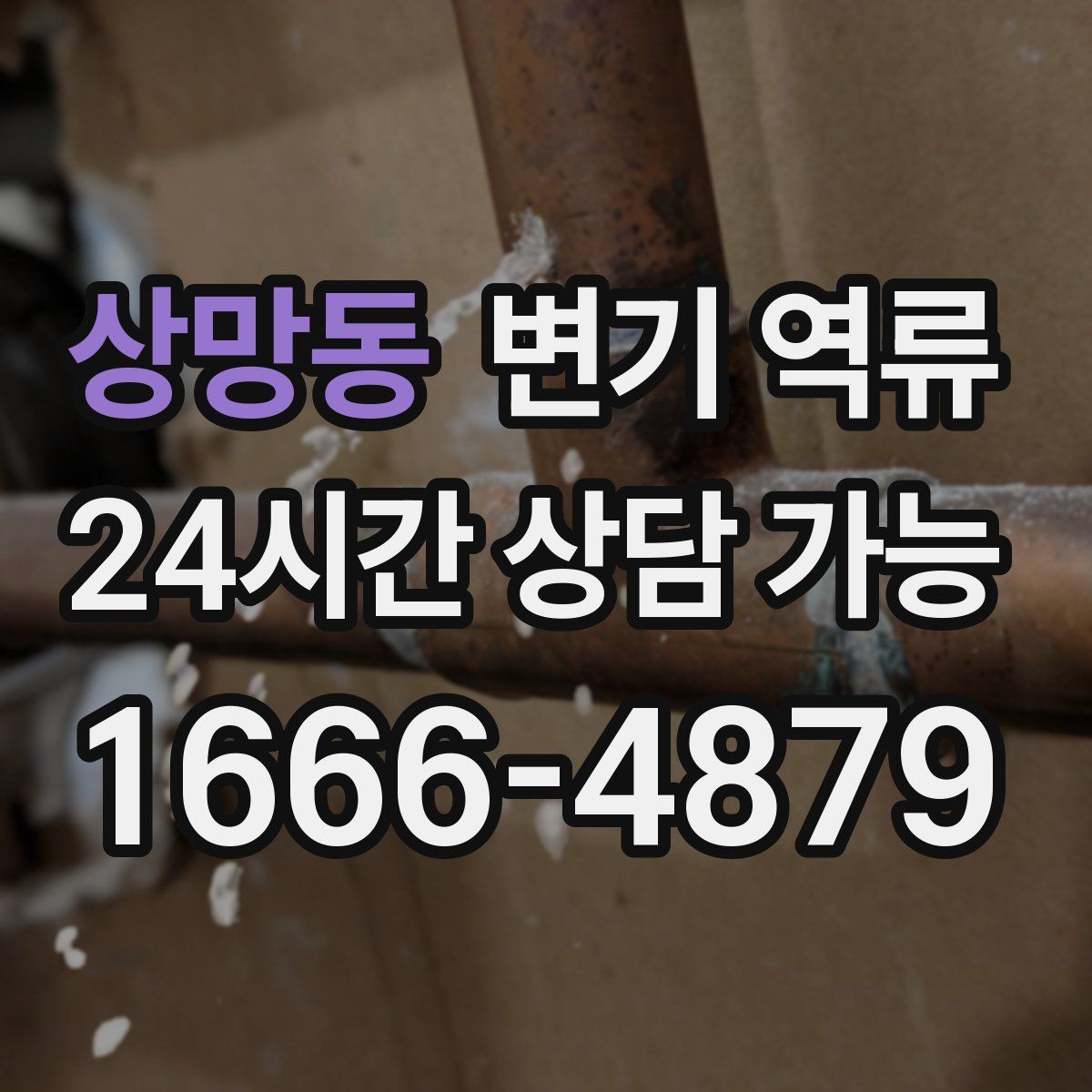 상망동 변기 역류