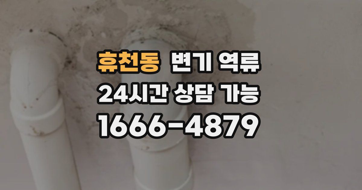 휴천동 변기 역류