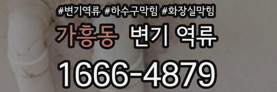 가흥동 변기 역류