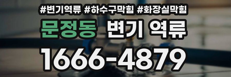 문정동 변기 역류