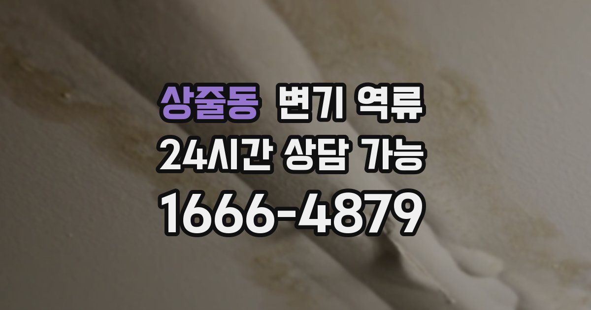 상줄동 변기 역류