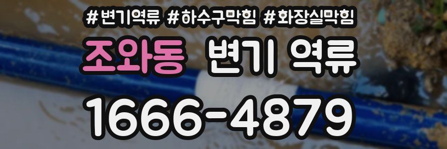 조와동 변기 역류