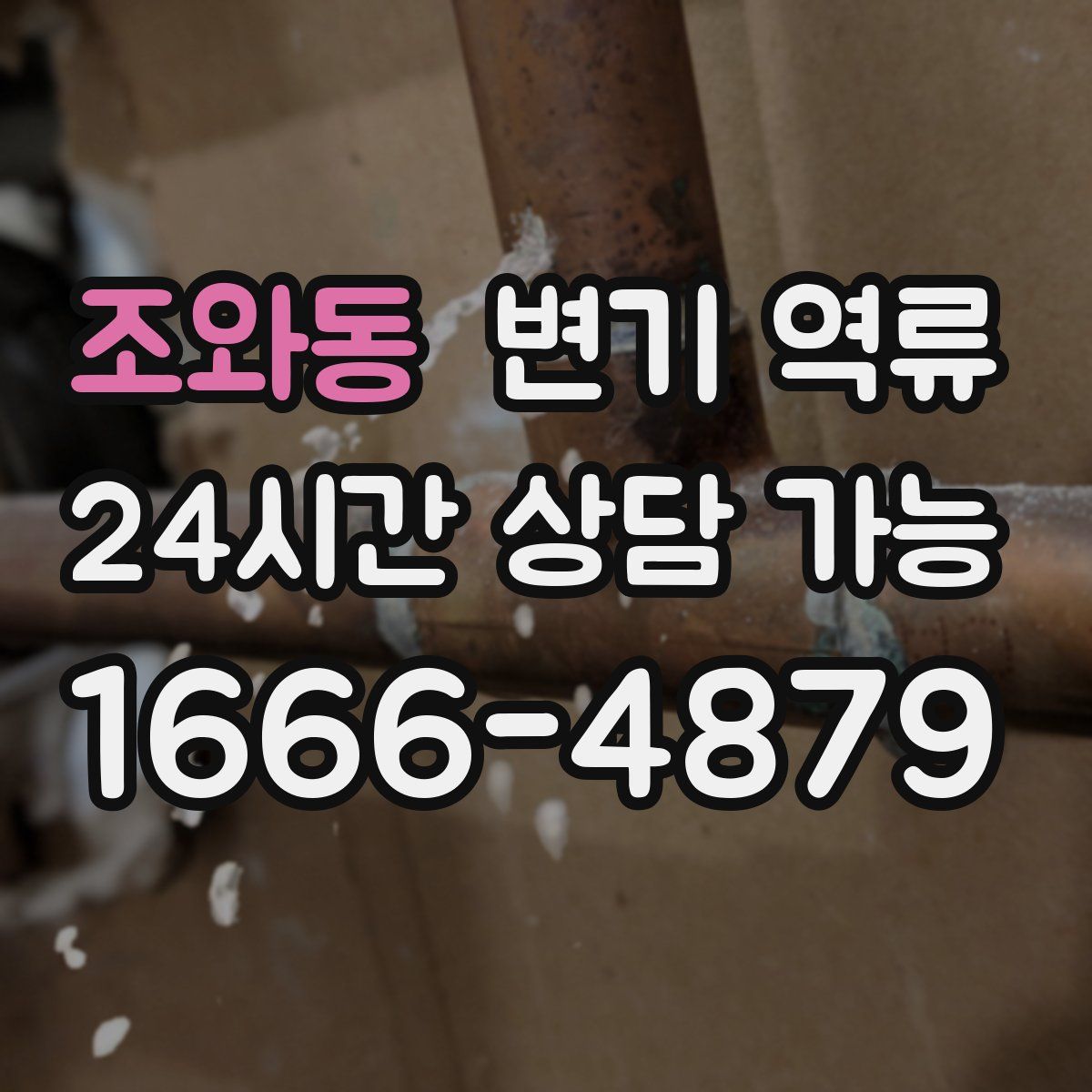 조와동 변기 역류