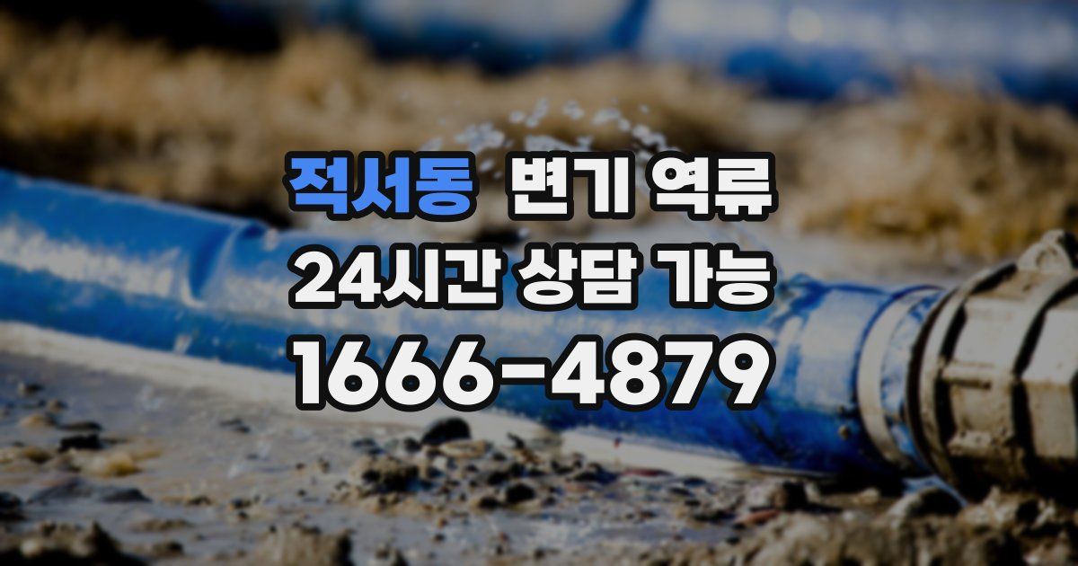 적서동 변기 역류