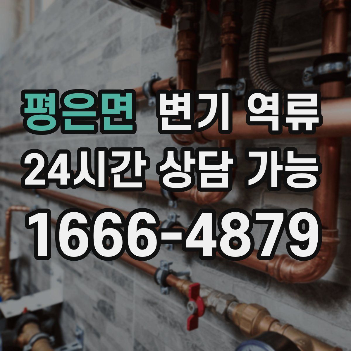 평은면 변기 역류