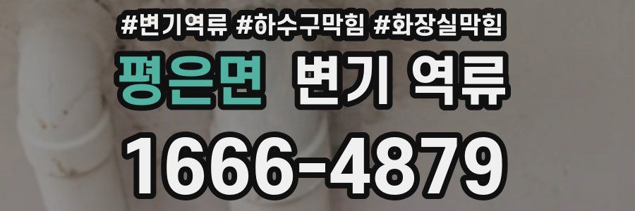 평은면 변기 역류