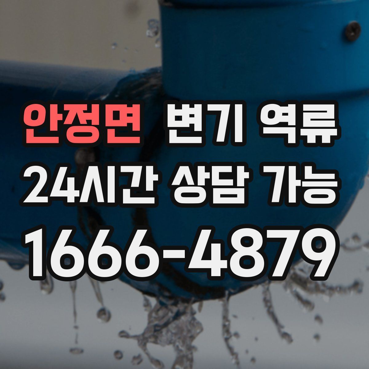 안정면 변기 역류