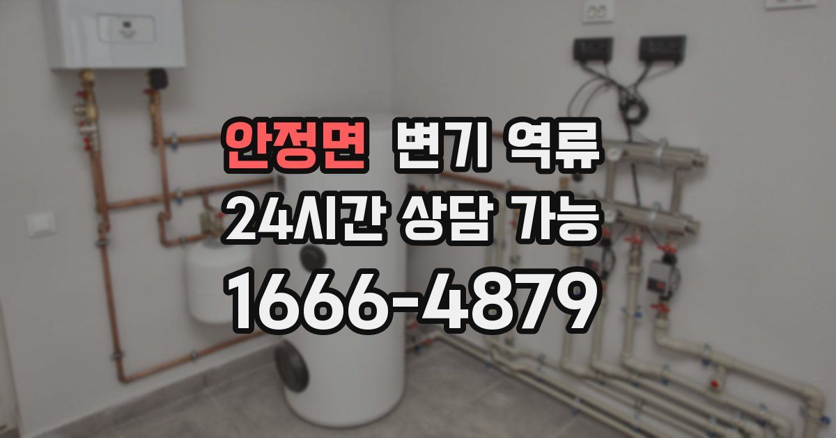 안정면 변기 역류