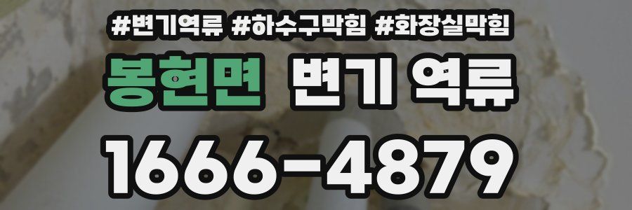 봉현면 변기 역류