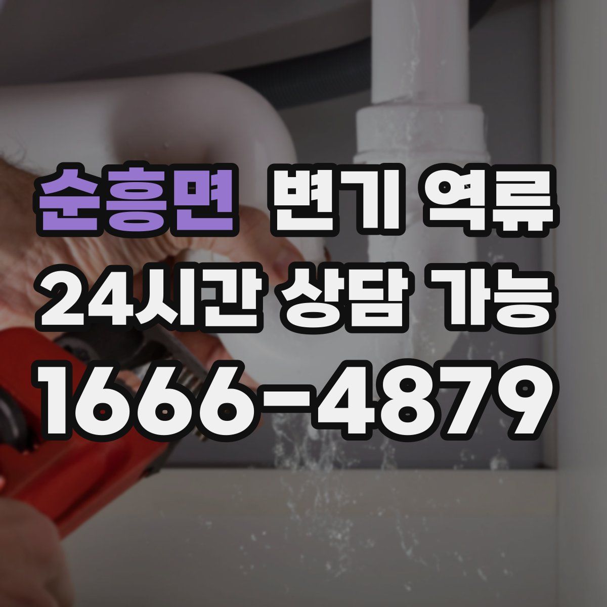 순흥면 변기 역류