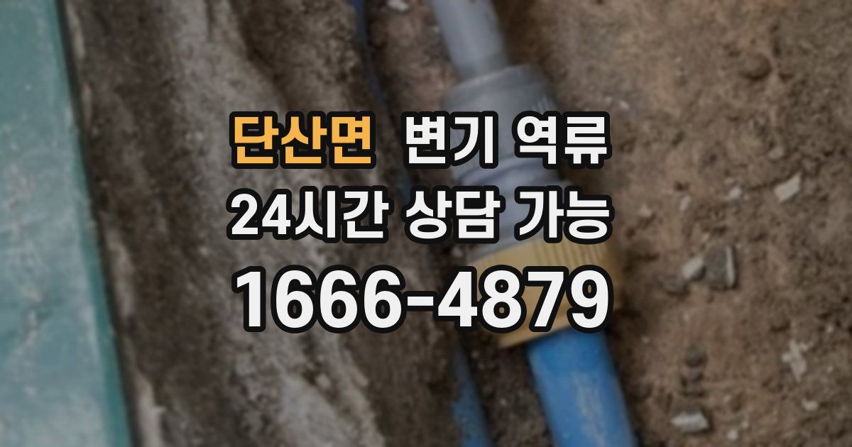 단산면 변기 역류