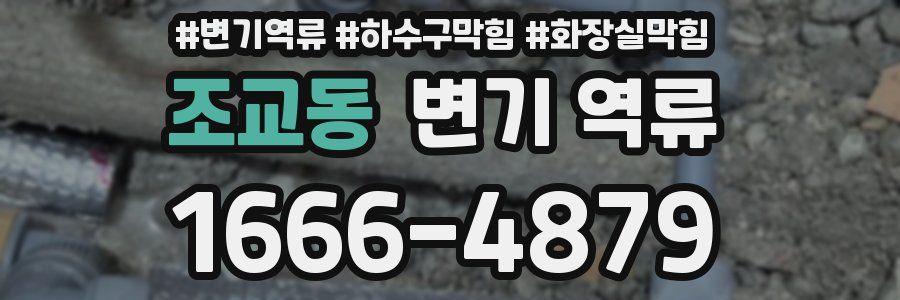 조교동 변기 역류