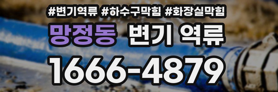 망정동 변기 역류