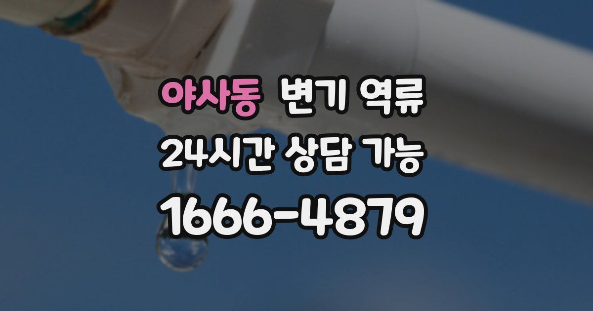 야사동 변기 역류