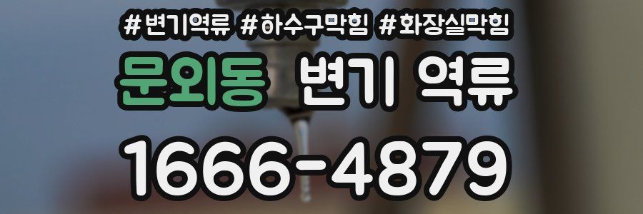 문외동 변기 역류