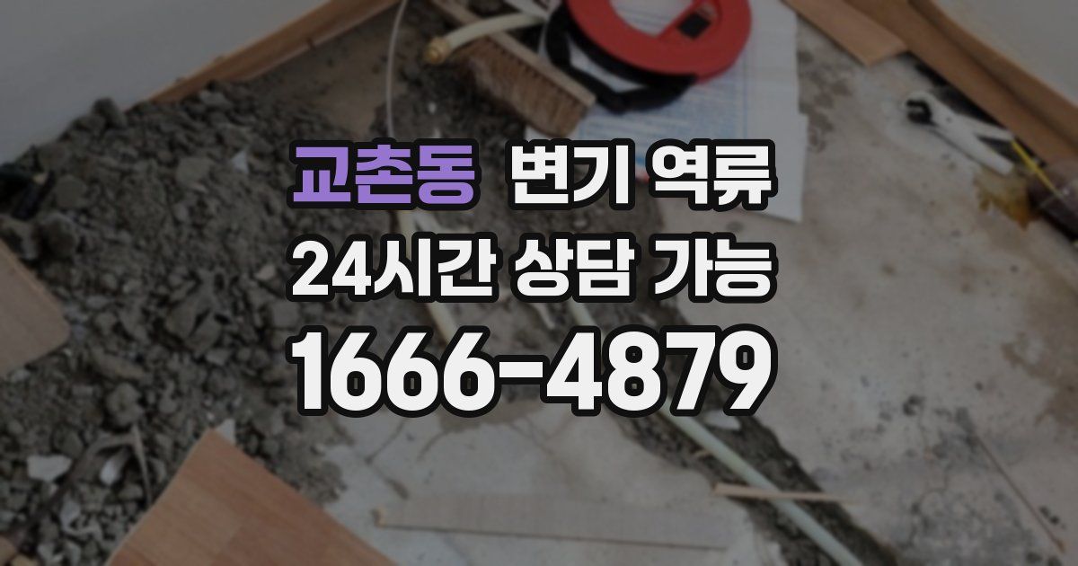 교촌동 변기 역류